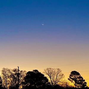 Meet your Posher, Jesse